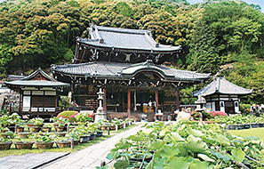 表紙のことば 日本の風景 宇治の秋 三室戸寺 Vol 4 ぼうだより技術がいど